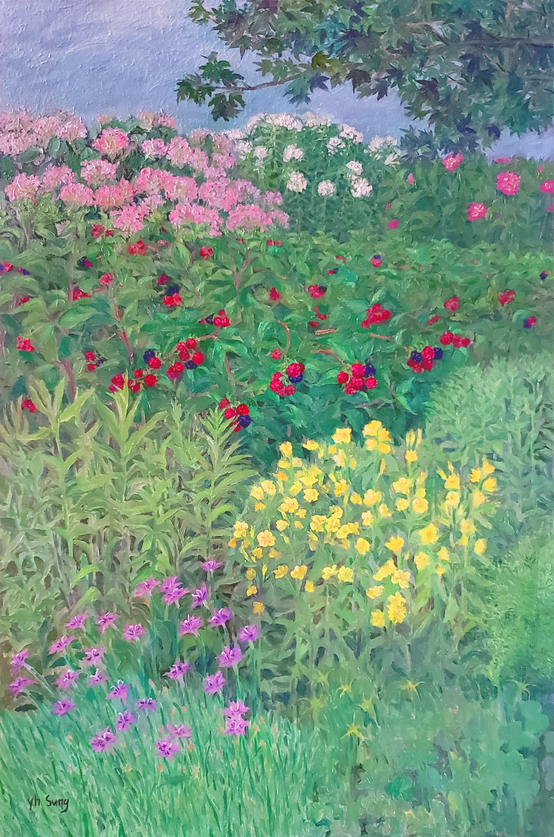 Garden with Raspberries